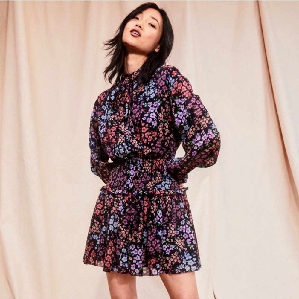 American Eagle Outfitters Chiffon Tie-Neck Mini Floral Dress